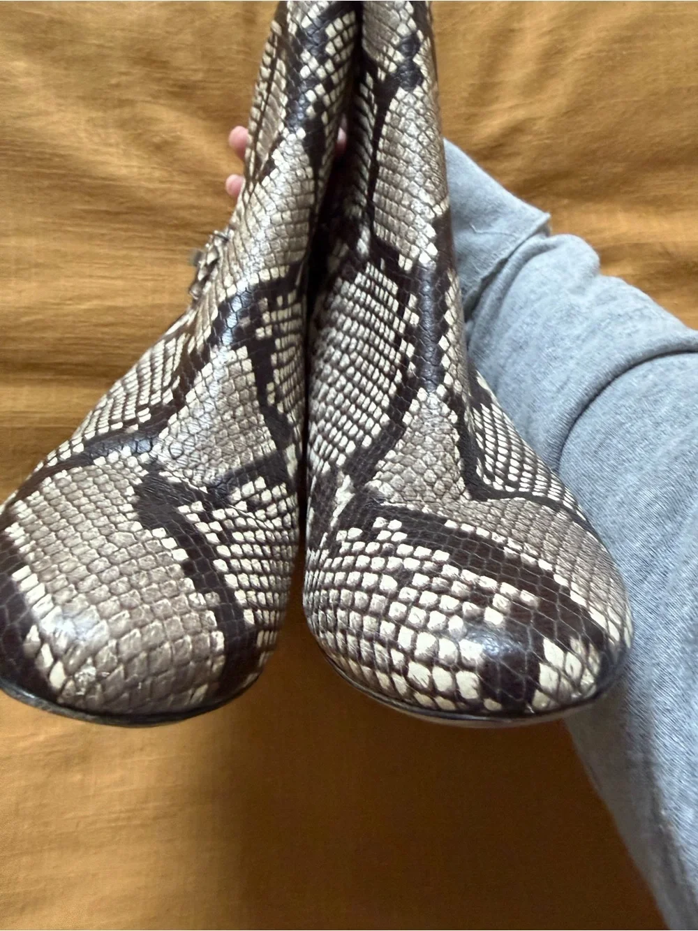 Tory Birch - Women’s Snake-Print Ankle Boots - Brown and Cream